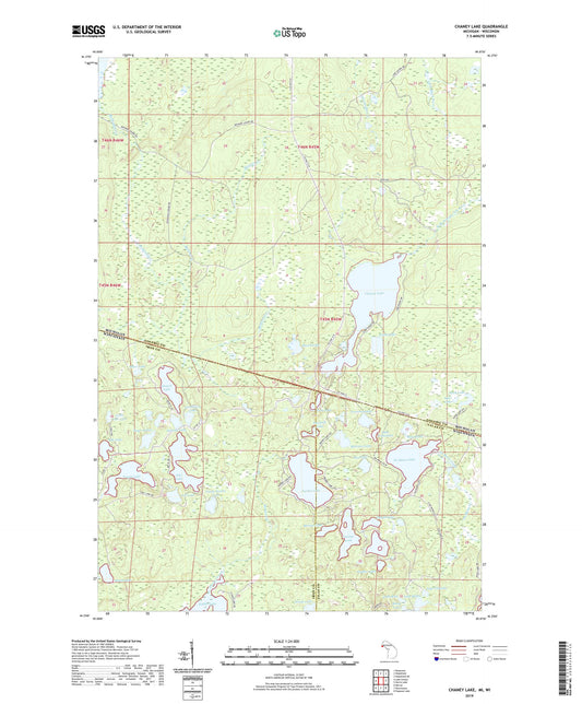 Chaney Lake Michigan US Topo Map Image