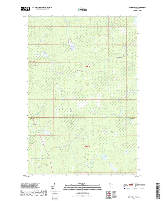 Drummond Lake Michigan US Topo Map Image