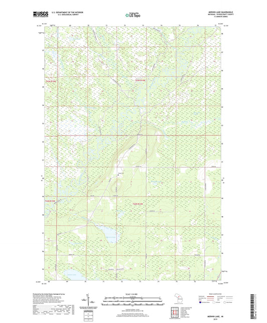 Merwin Lake Michigan US Topo Map Image