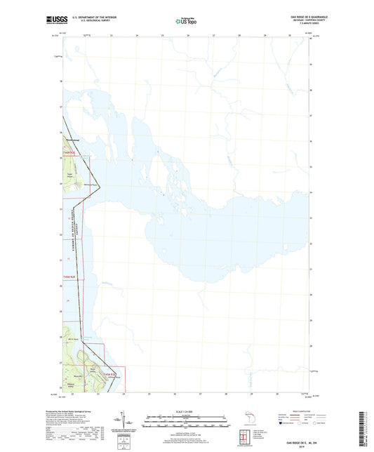 Oak Ridge OE E Michigan US Topo Map Image