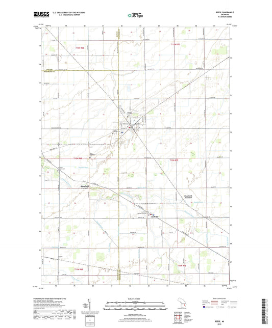 Reese Michigan US Topo Map Image
