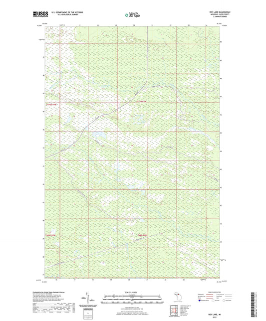 Roy Lake Michigan US Topo Map Image