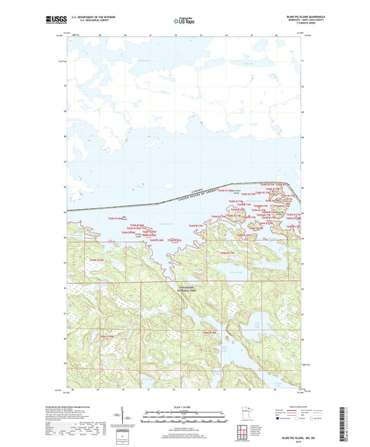 Blind Pig Island Minnesota US Topo Map Image