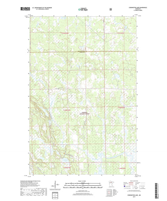 Coddington Lake Minnesota US Topo Map Image