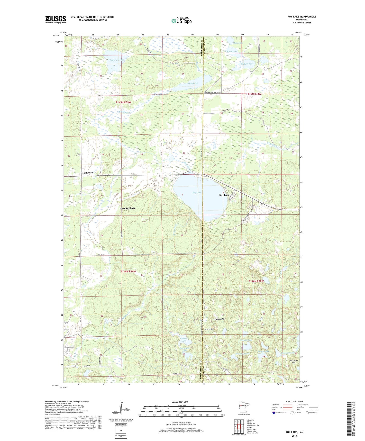Roy Lake Minnesota US Topo Map Image