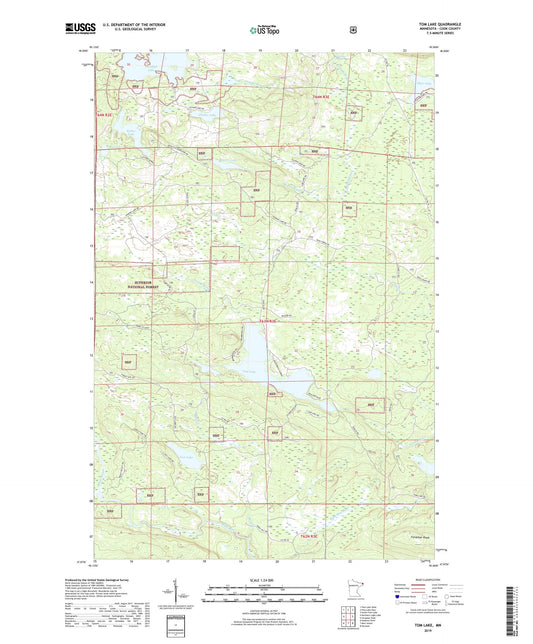 Tom Lake Minnesota US Topo Map Image