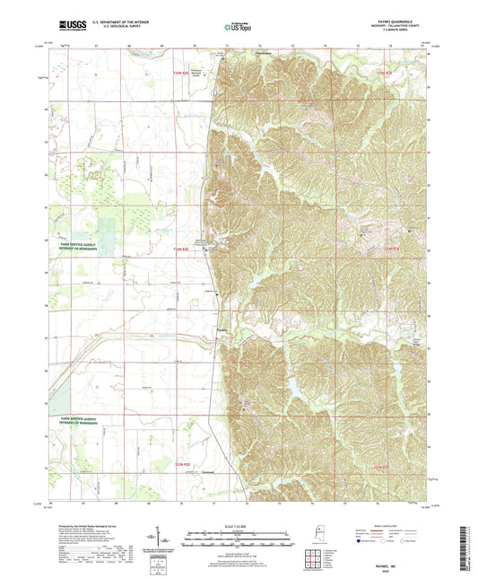 Paynes Mississippi US Topo Map Image