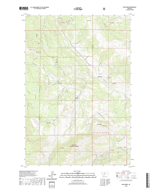 Bald Knob Montana US Topo Map Image