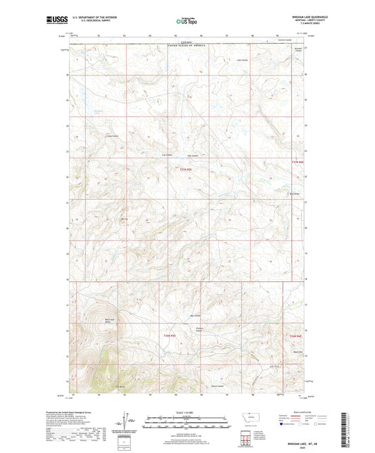 Bingham Lake Montana US Topo Map Image