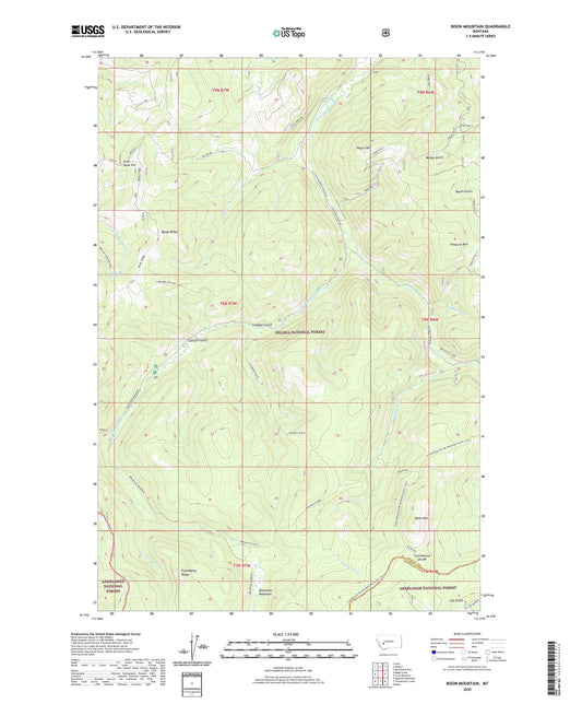 Bison Mountain Montana US Topo Map Image