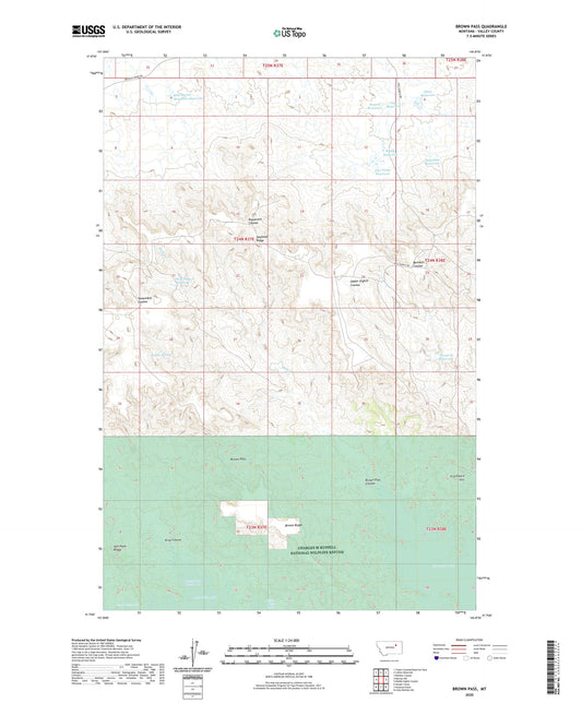 Brown Pass Montana US Topo Map Image