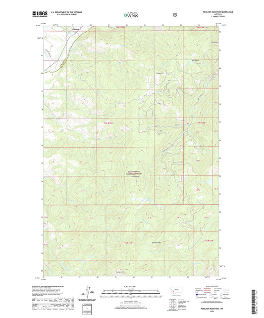 Foolhen Mountain Montana US Topo Map Image