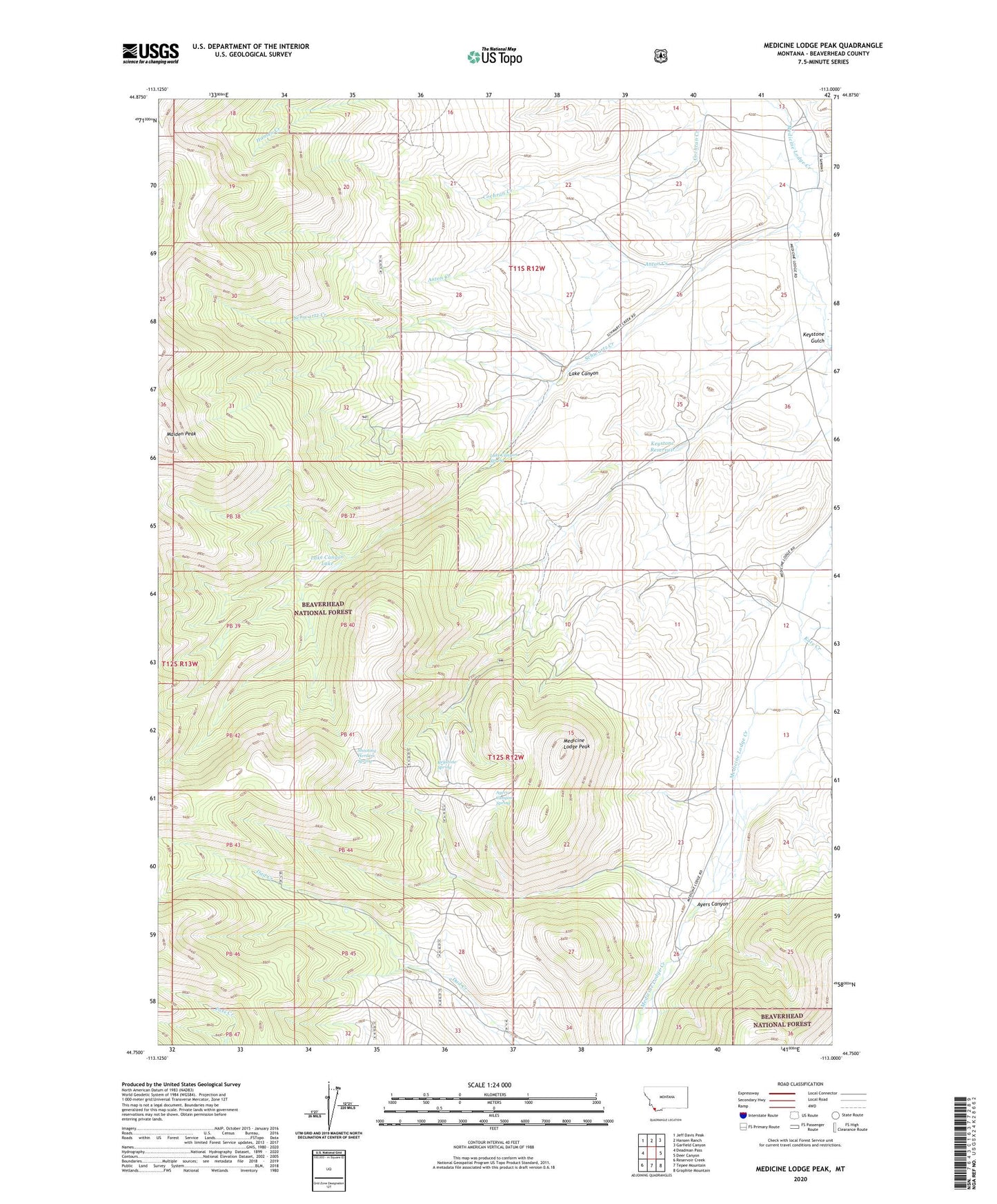 Medicine Lodge Peak Montana US Topo Map Image