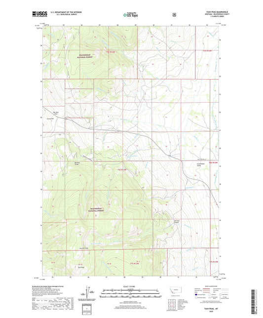 Tash Peak Montana US Topo Map Image