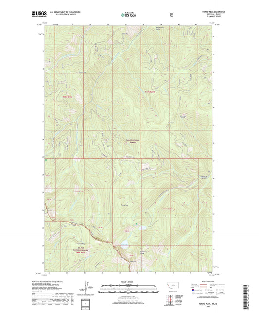 Torino Peak Montana US Topo Map Image