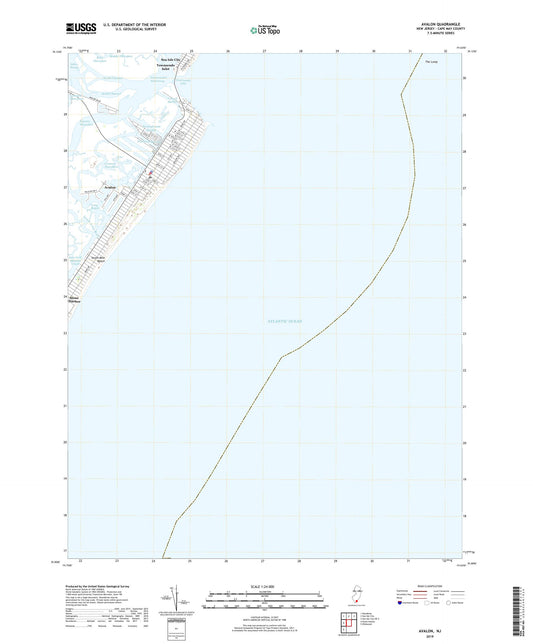 Avalon New Jersey US Topo Map Image