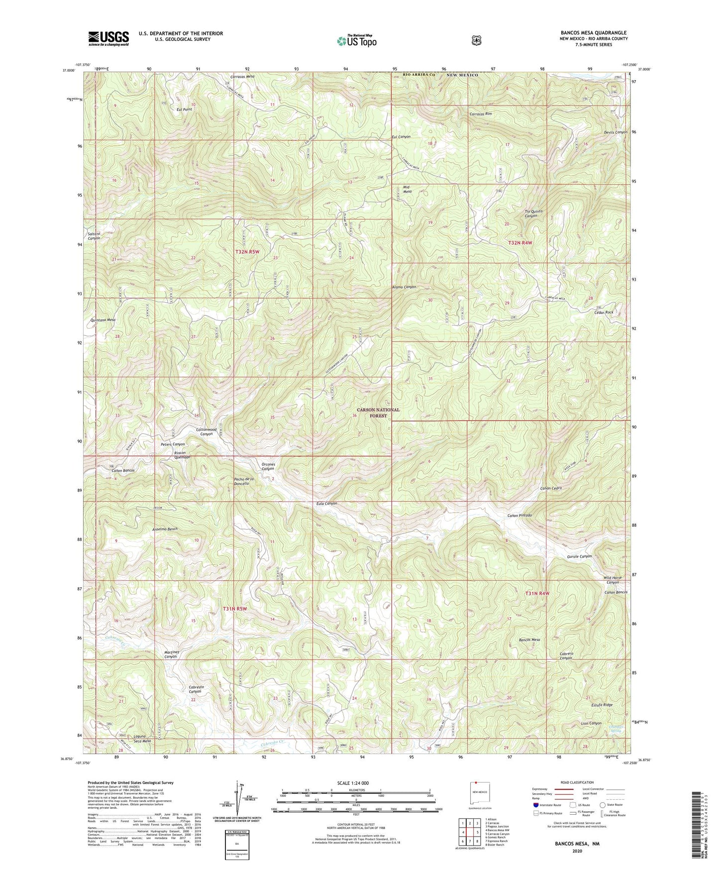 Bancos Mesa New Mexico US Topo Map Image