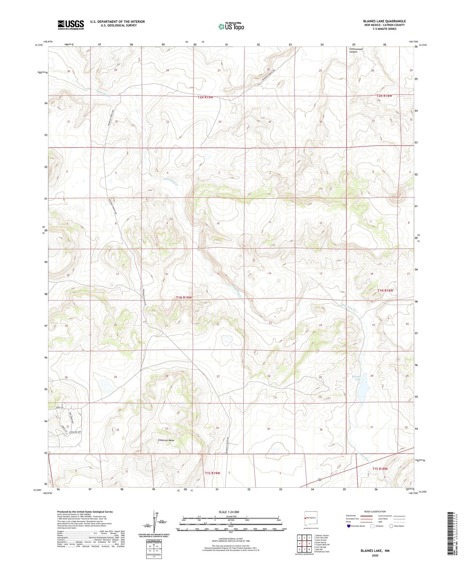 Blaines Lake New Mexico US Topo Map Image