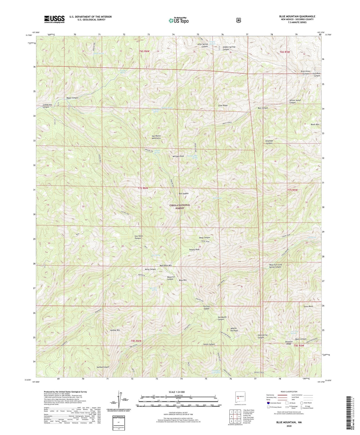 Blue Mountain New Mexico US Topo Map Image