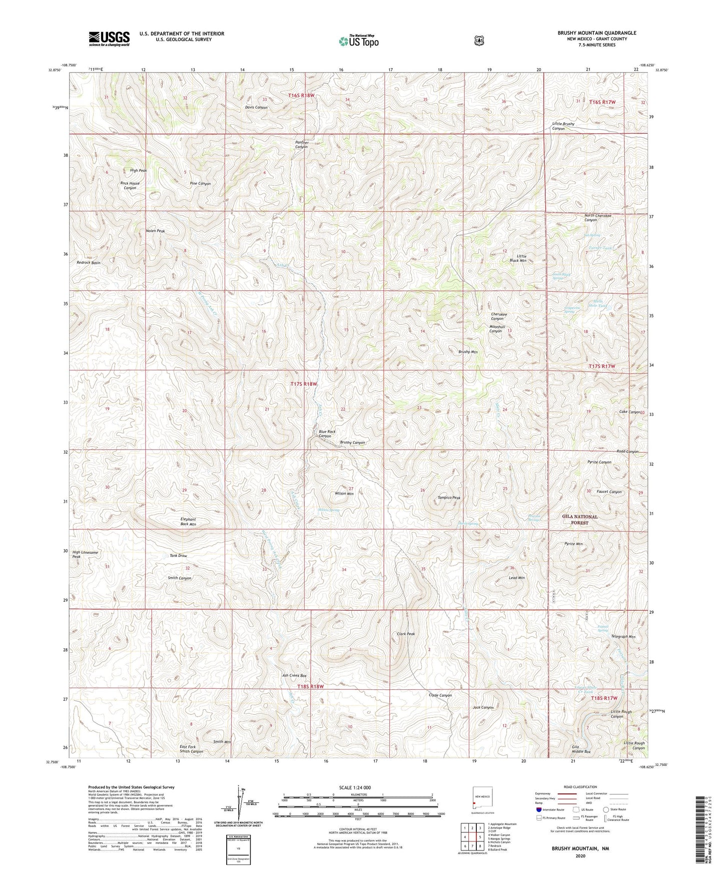 Brushy Mountain New Mexico US Topo Map Image