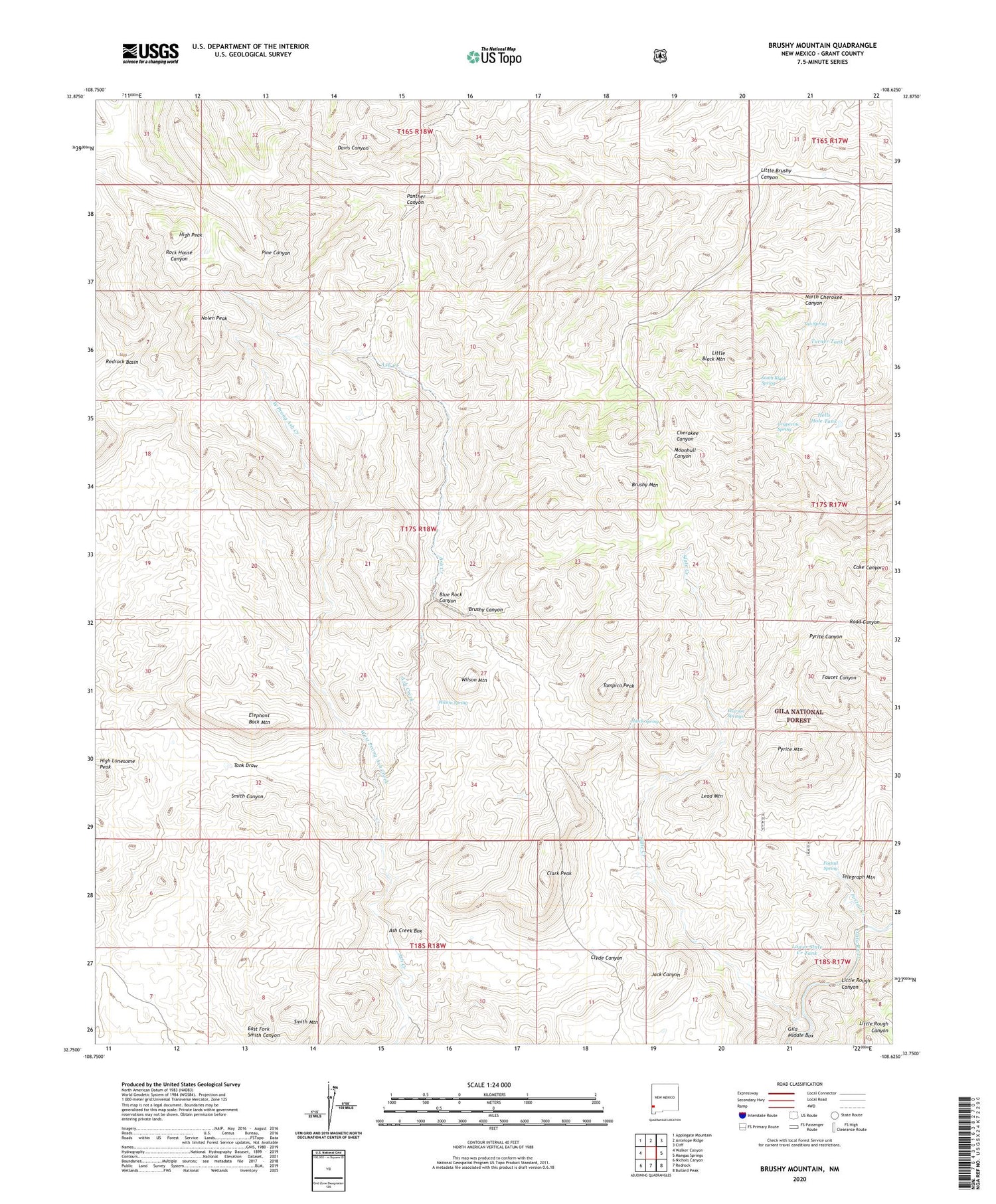 Brushy Mountain New Mexico US Topo Map Image