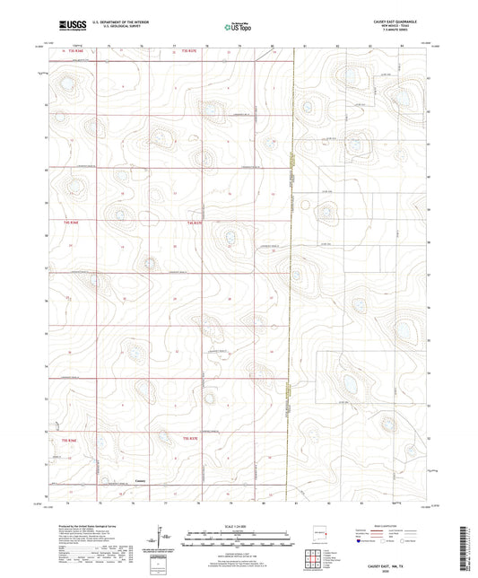 Causey East New Mexico US Topo Map Image