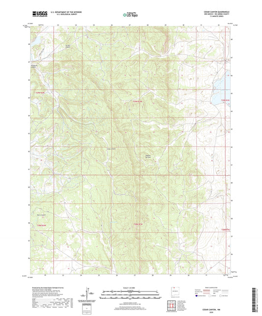 Cedar Canyon New Mexico US Topo Map Image