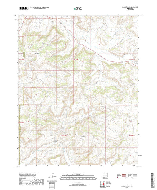 Delgadita Mesa New Mexico US Topo Map Image
