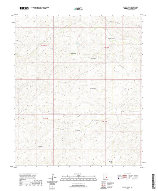 Encino Draw New Mexico US Topo Map Image