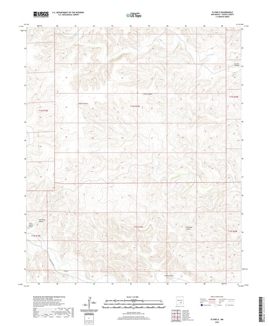 Flying H New Mexico US Topo Map Image