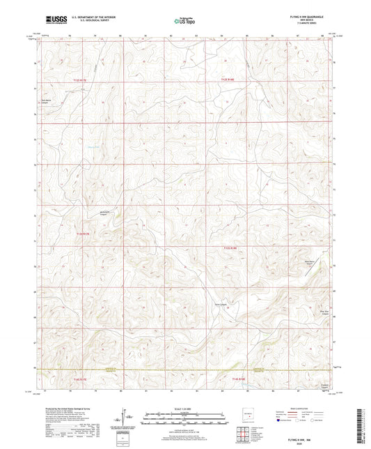 Flying H NW New Mexico US Topo Map Image