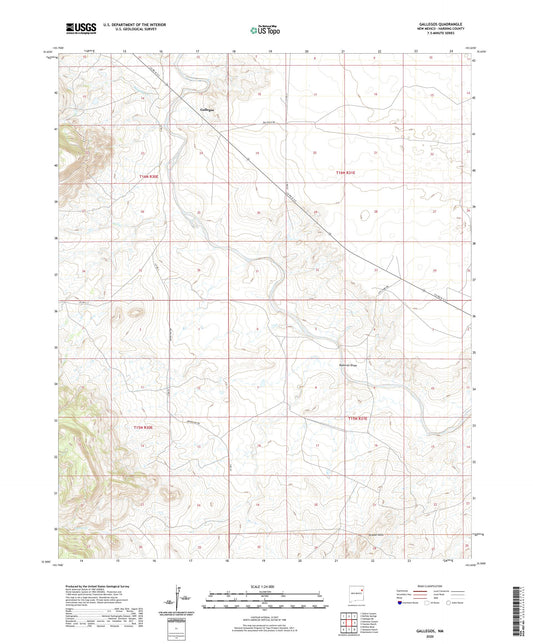 Gallegos New Mexico US Topo Map Image