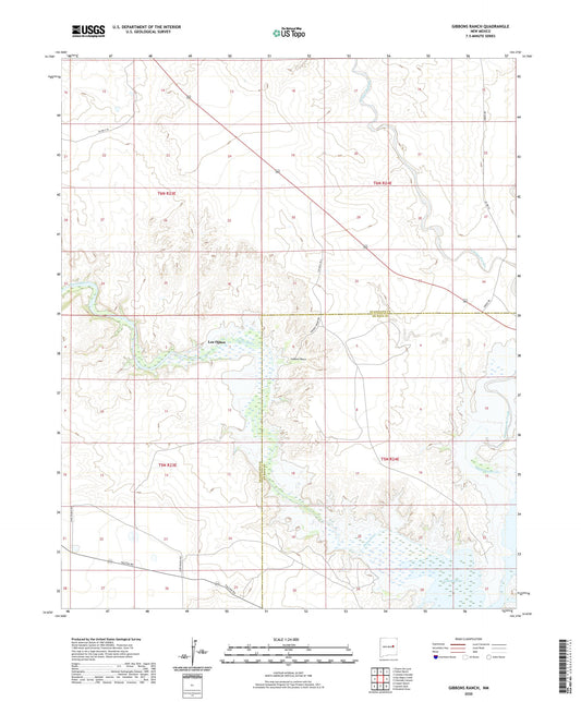 Gibbons Ranch New Mexico US Topo Map Image