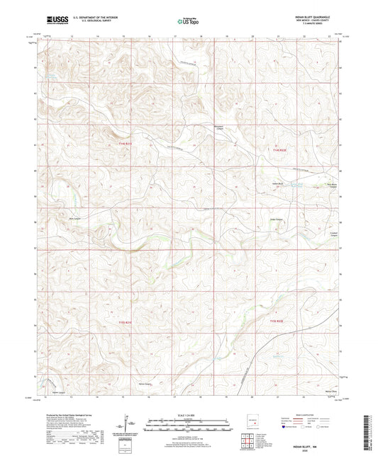 Indian Bluff New Mexico US Topo Map Image