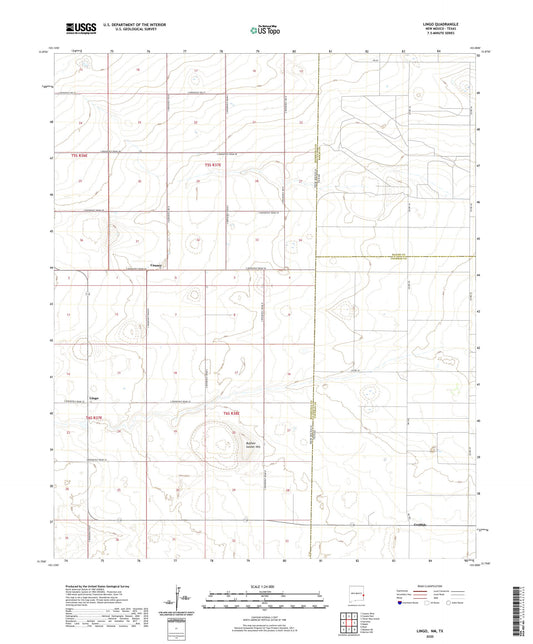 Lingo New Mexico US Topo Map Image