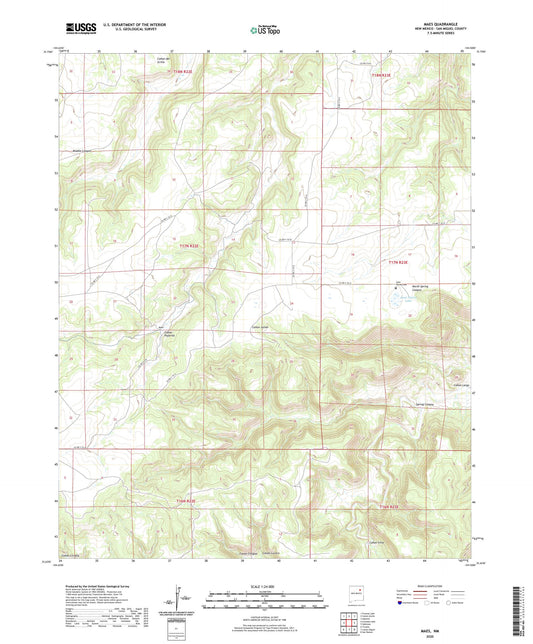 Maes New Mexico US Topo Map Image