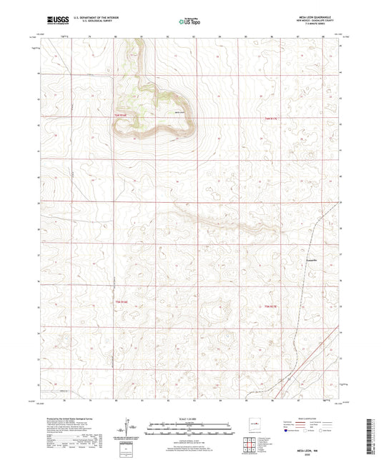 Mesa Leon New Mexico US Topo Map Image