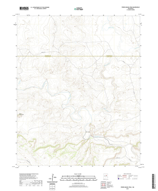 Pedro Miguel Peak New Mexico US Topo Map Image
