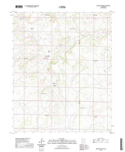 Pinavete Canyon New Mexico US Topo Map Image