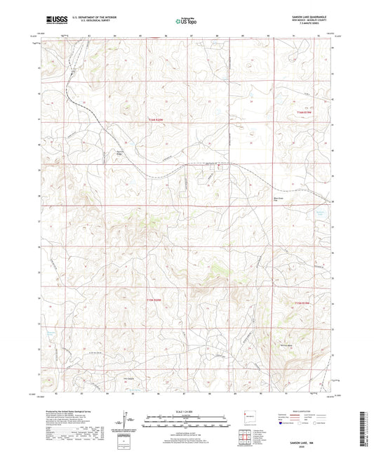 Samson Lake New Mexico US Topo Map Image
