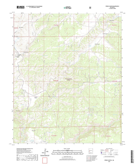 Spring Canyon New Mexico US Topo Map Image