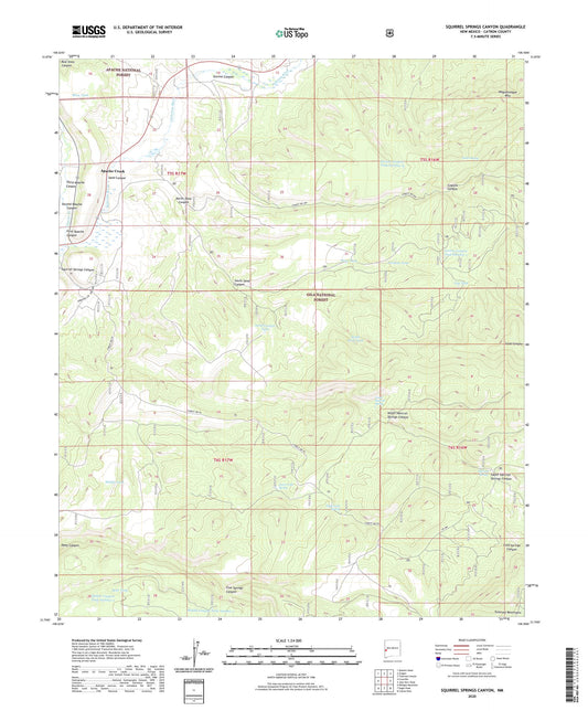 Squirrel Springs Canyon New Mexico US Topo Map Image