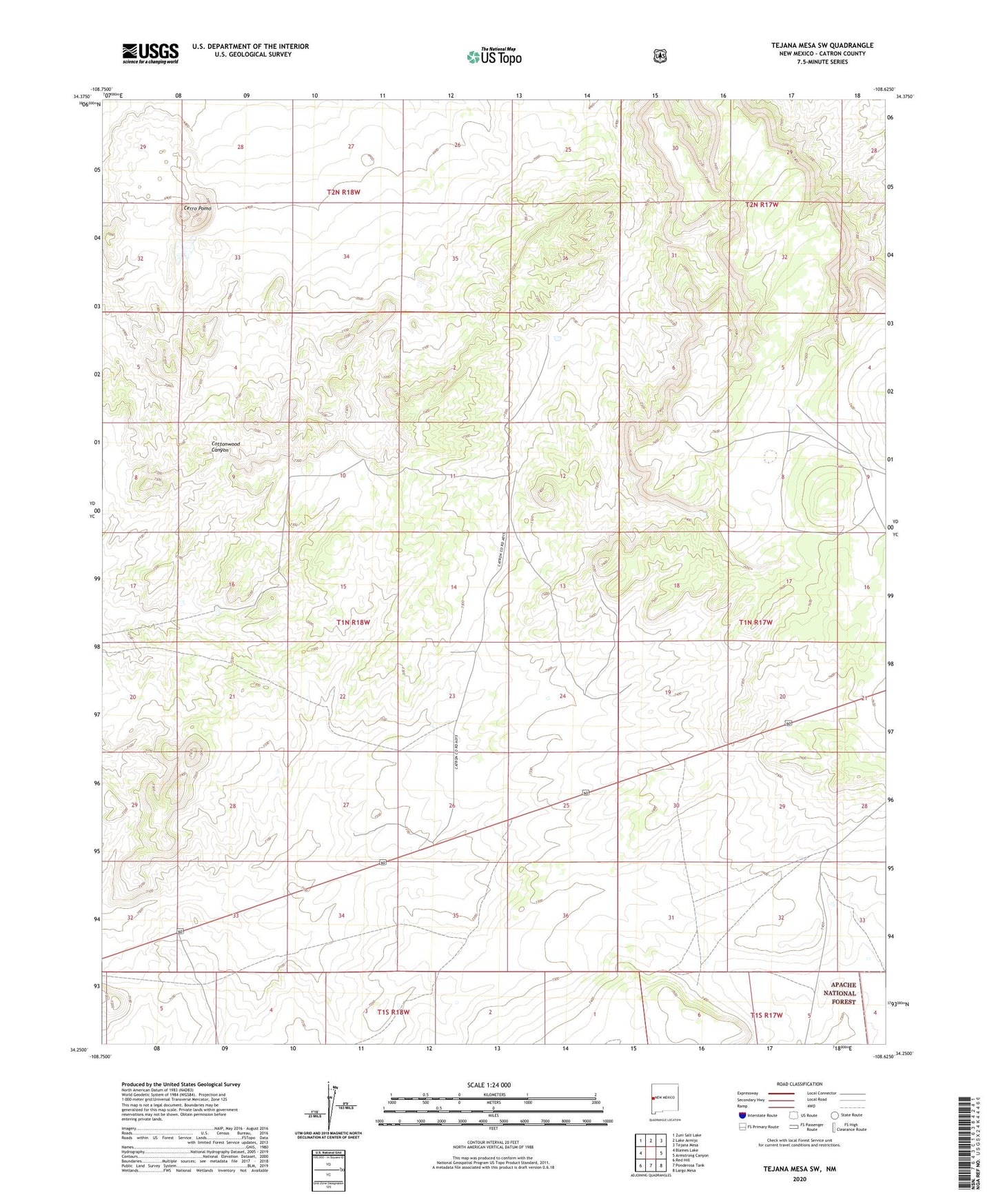 Tejana Mesa SW New Mexico US Topo Map Image