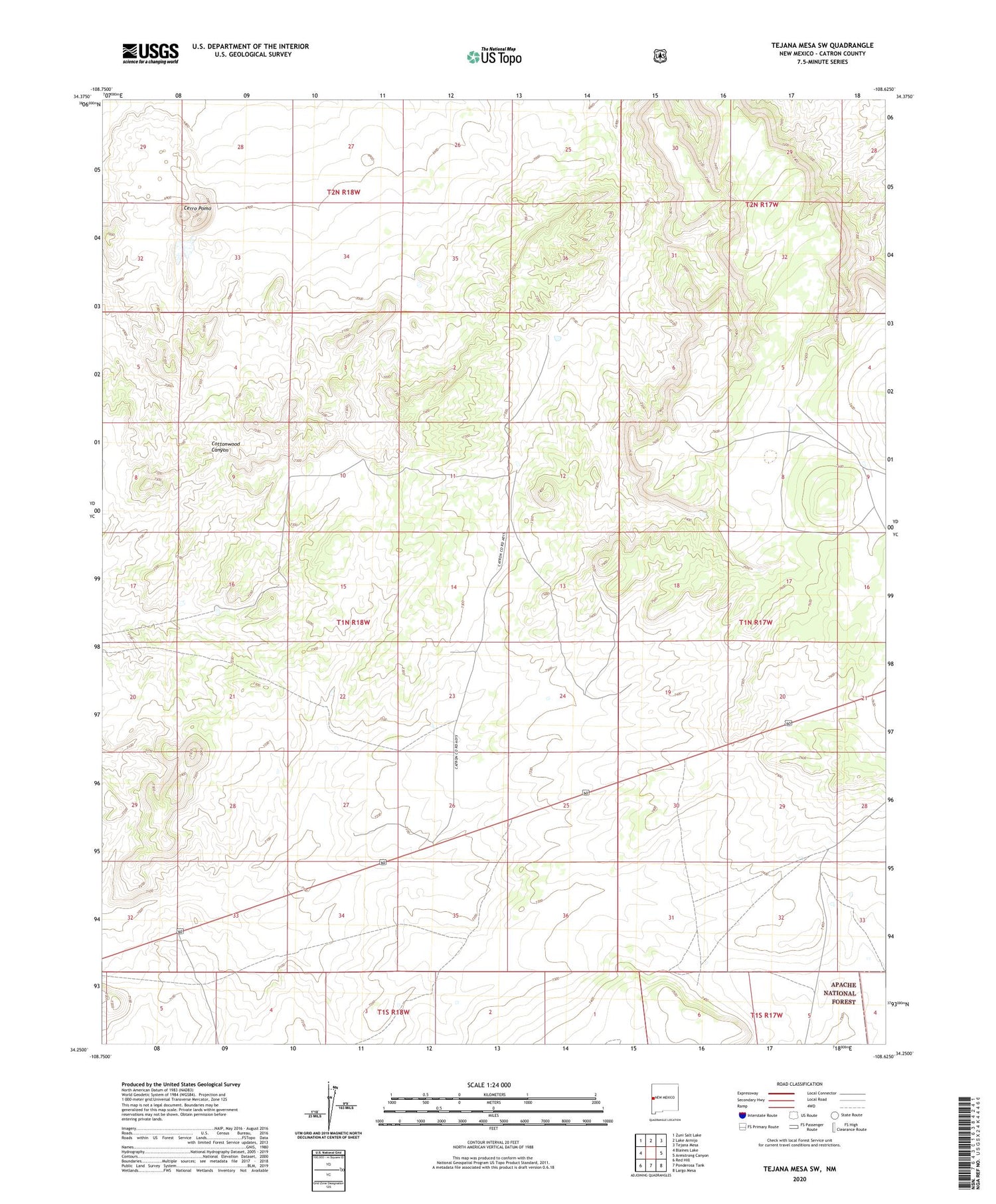 Tejana Mesa SW New Mexico US Topo Map Image
