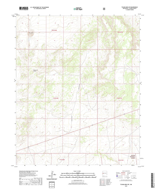Tejana Mesa SW New Mexico US Topo Map Image