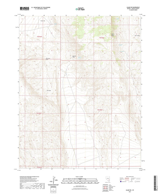Alamo NE Nevada US Topo Map Image