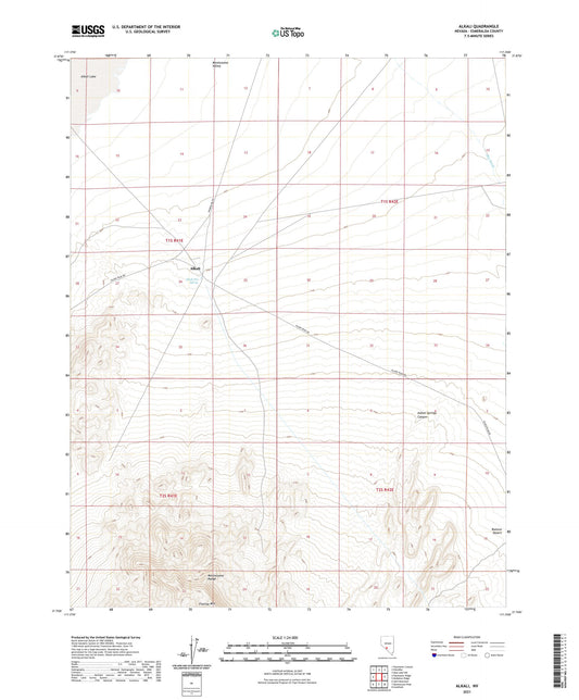 Alkali Nevada US Topo Map Image