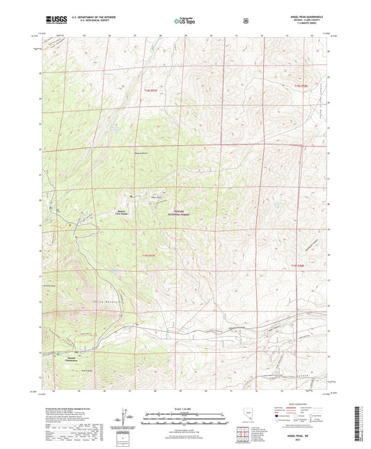 Angel Peak Nevada US Topo Map Image