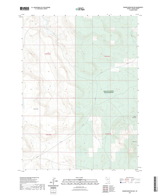 Badger Mountain NW Nevada US Topo Map Image