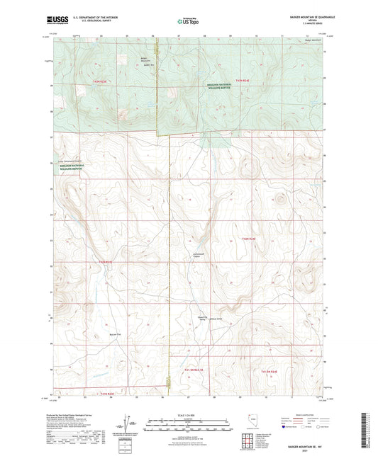 Badger Mountain SE Nevada US Topo Map Image